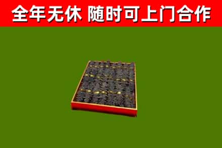 漳州市回收海参